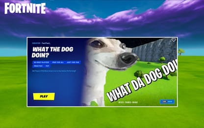 Exploring The Origins Of The Dog Water Meme In Fortnite