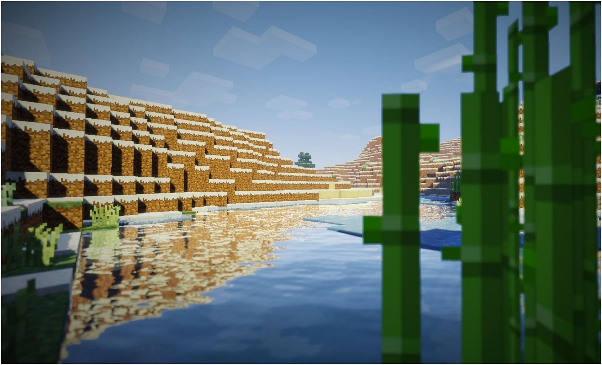 A river&#039;s shore and some sugar cane (Image via Minecraft)
