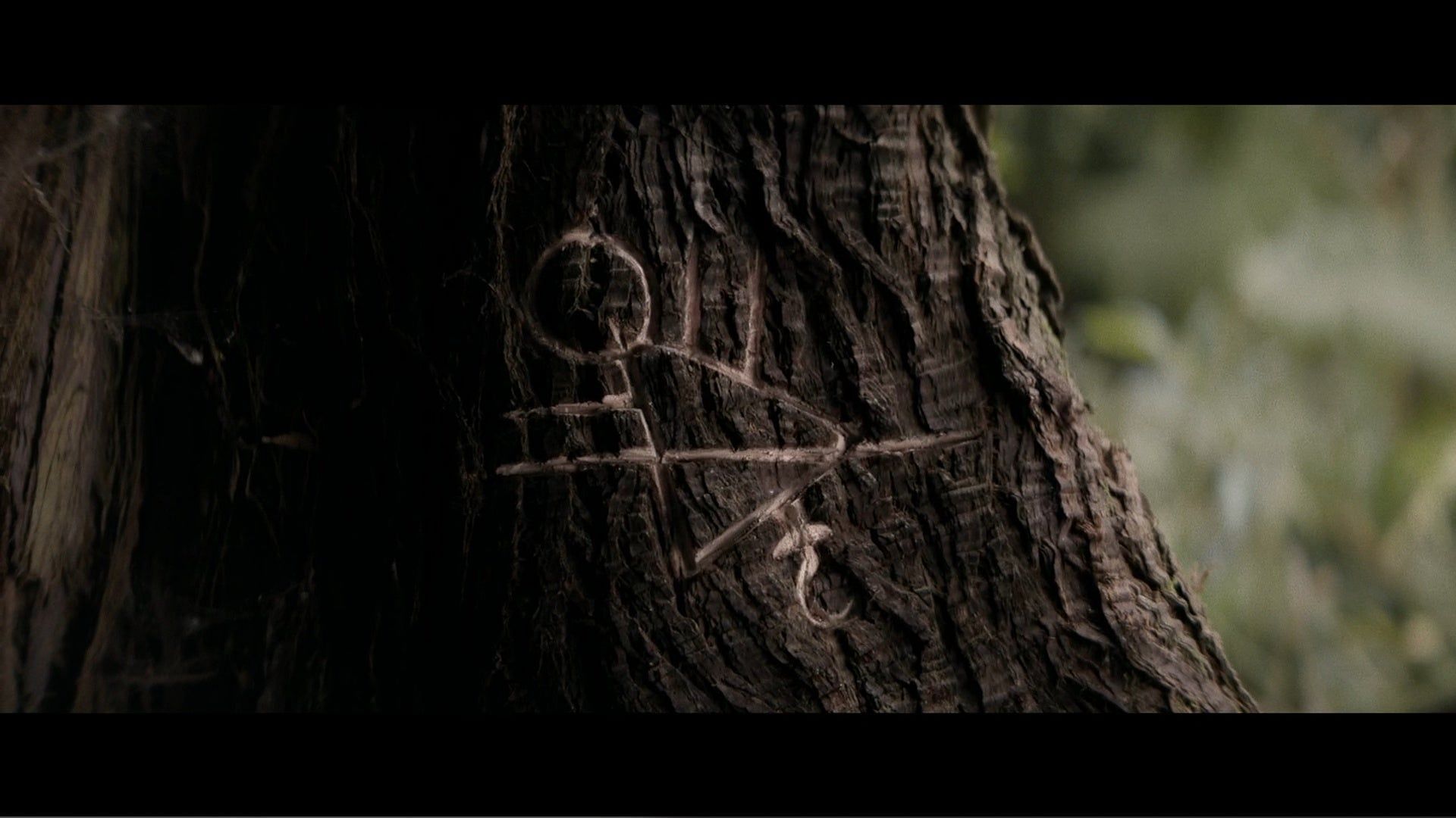 The symbol engraved on a tree in the crash site (Image via Showtime)