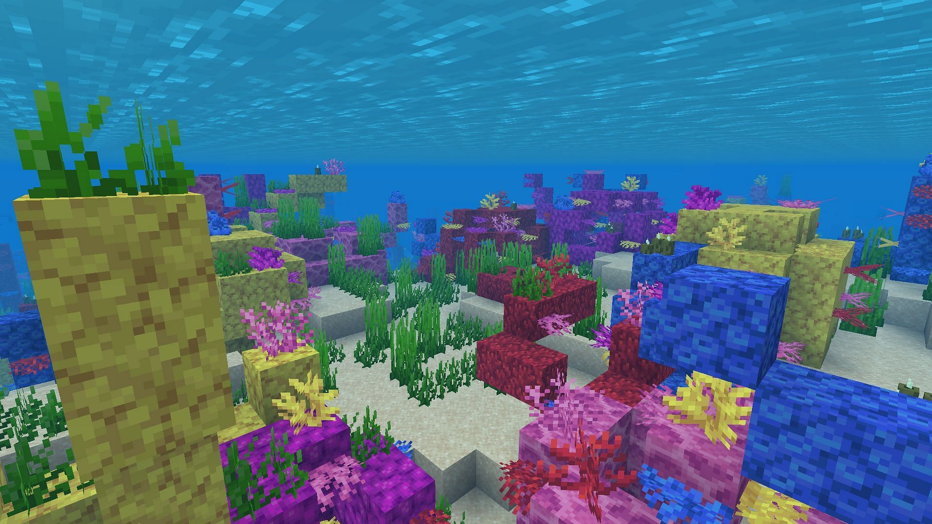 Coral is great for decoration (Image via Minecraft)