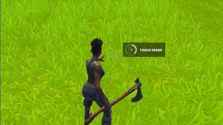 Fortnite player told to 'Touch grass' after playing too long, his counter  will leave you in splits