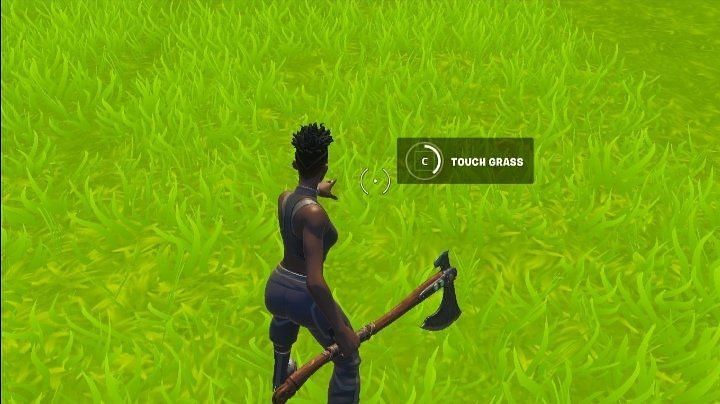 Touch Grass 🌿 5140-8135-2811 by tto - Fortnite