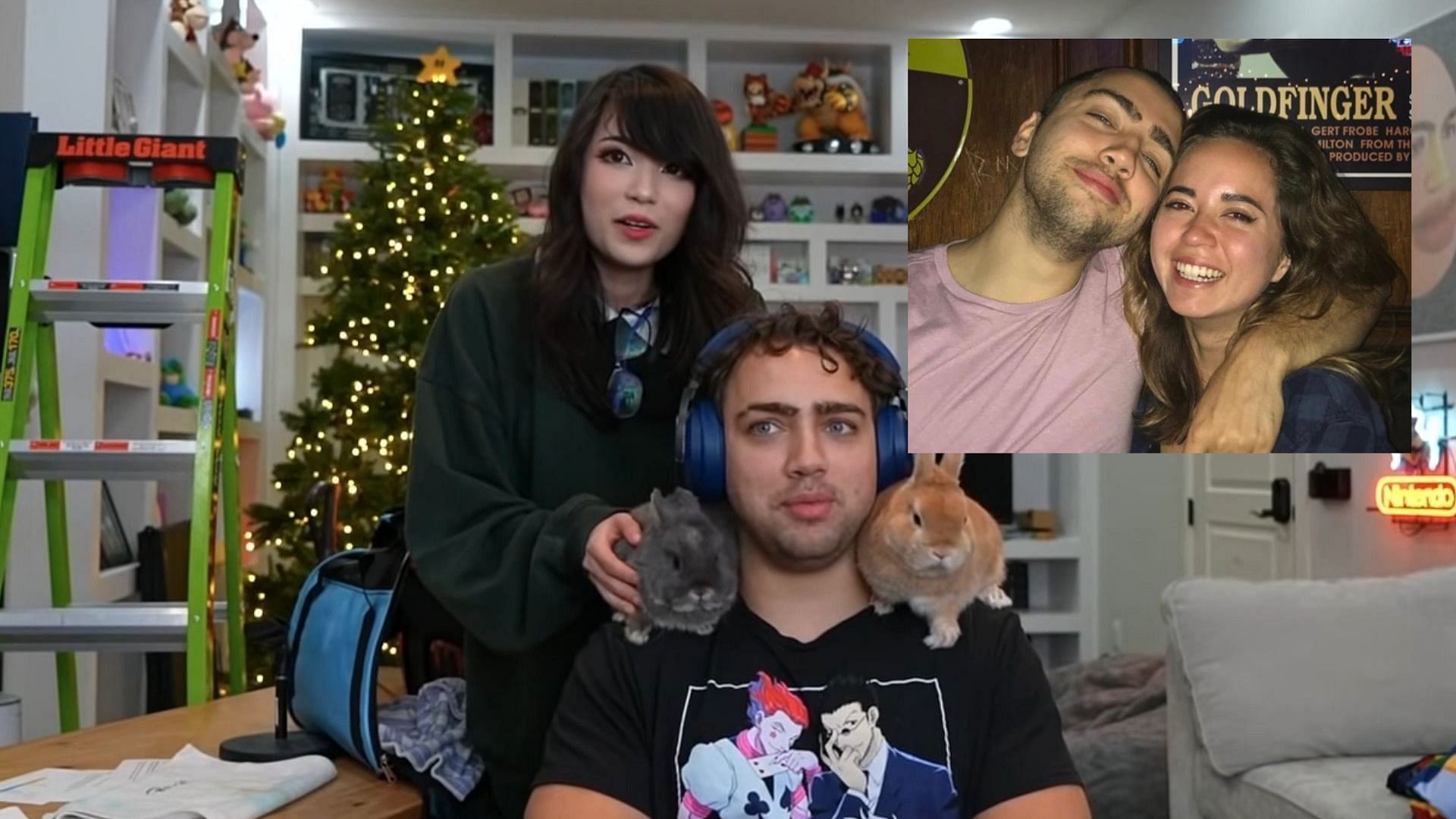 QTCinderella broke her nose and Ludwig ends their streams