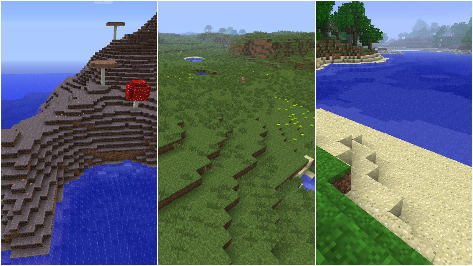 Mushroom biome, Plains biome, Beach biome (Image via Minecraft)