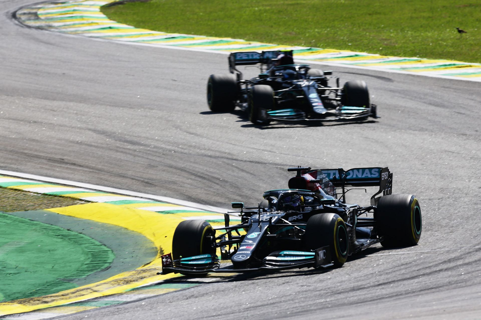 Mercedes lead the F1 Constructor&#039;s championship afer the Brazil Grand Prix (Photo by Peter Fox/Getty Images).
