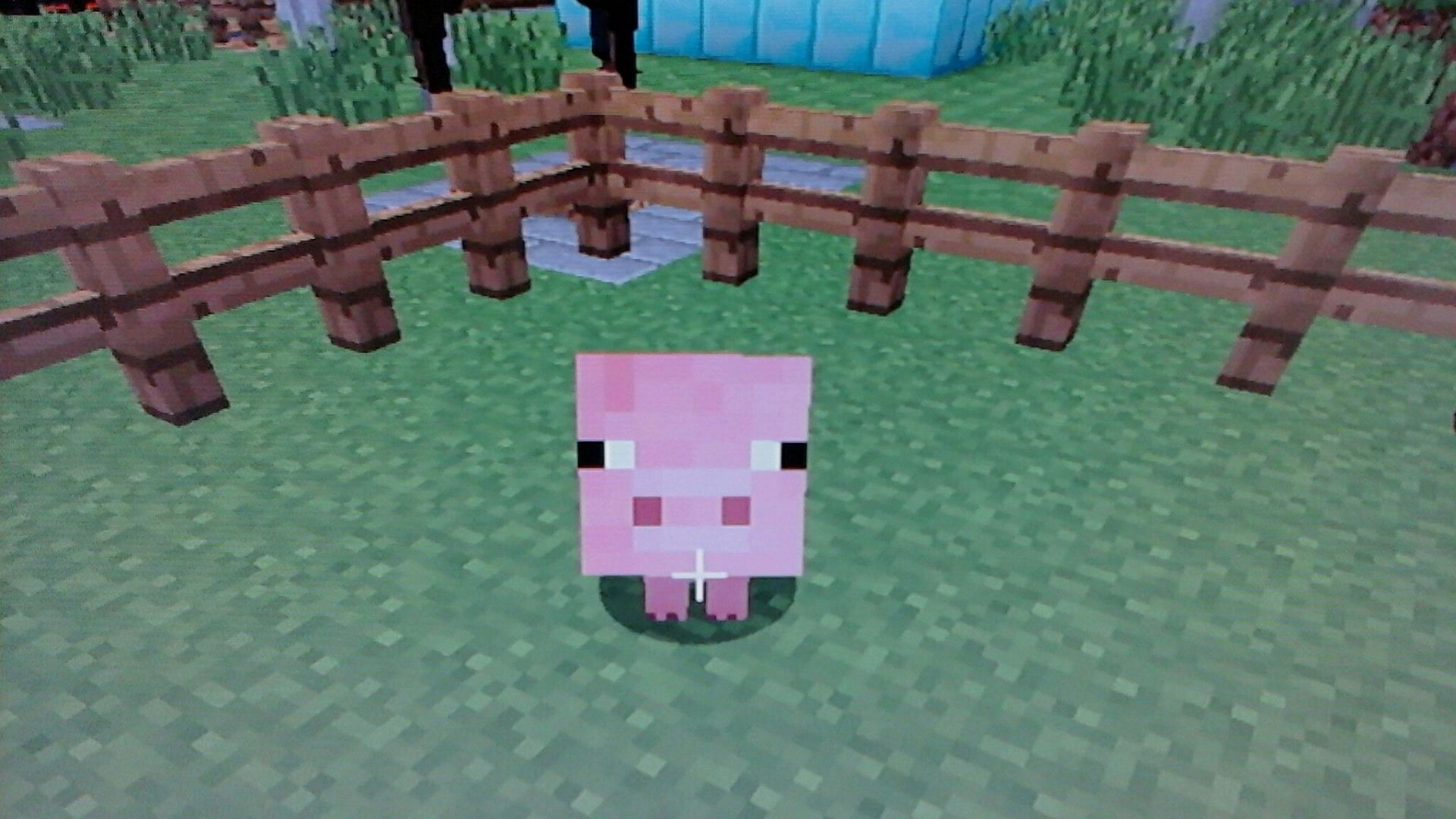 Pigs can be attracted using carrots (image via Mojang)