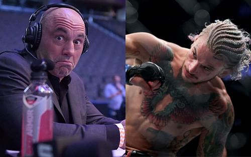 It's time for a throwback to UFC 264 when Joe Rogan made quite the blunder during one of his commentary duties