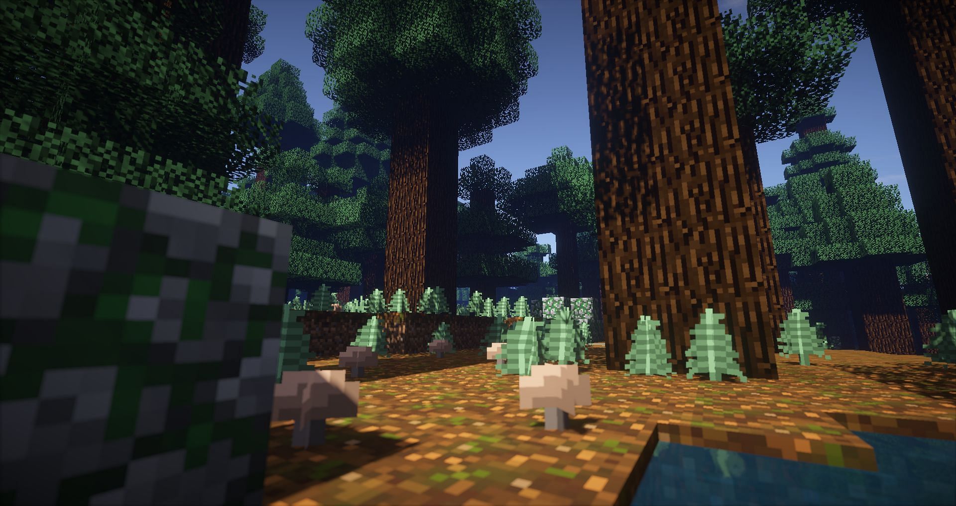 Mushrooms, saplings and Spruce trees growing on podzol (Image via Minecraft)