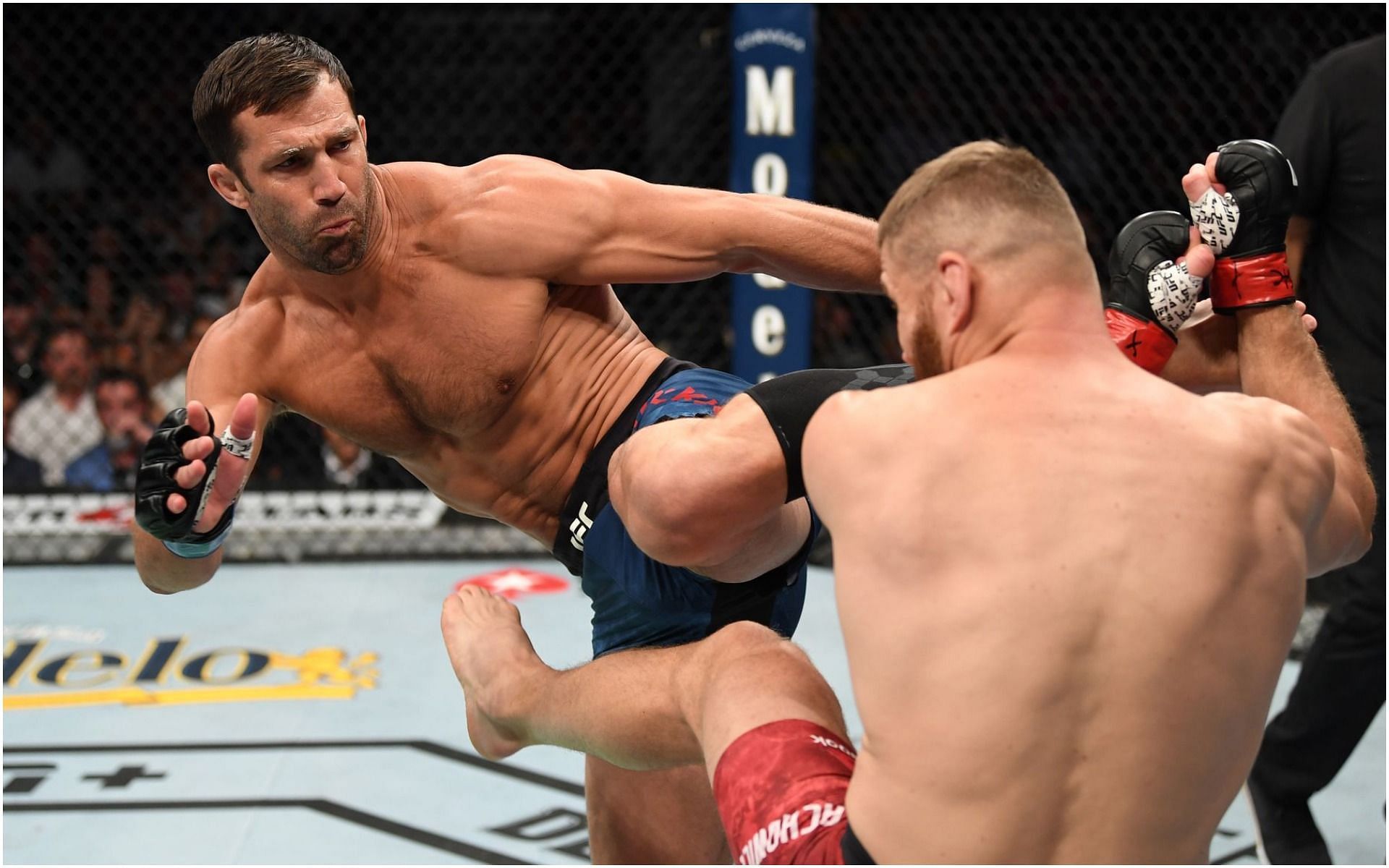 Luke Rockhold and Jan Blachowicz at UFC 239