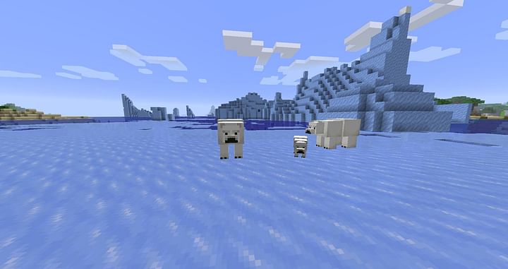 5 best ocean biomes in Minecraft