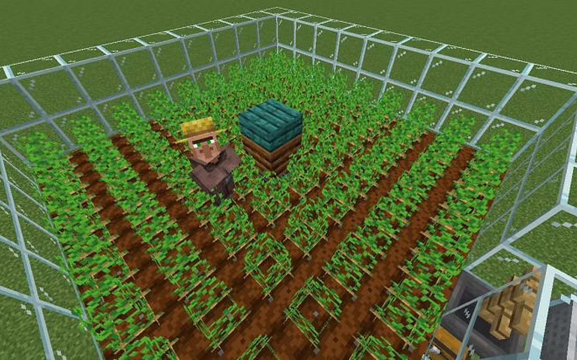 A player&#039;s automatic potato farm in-game. (Image via Minecraft)