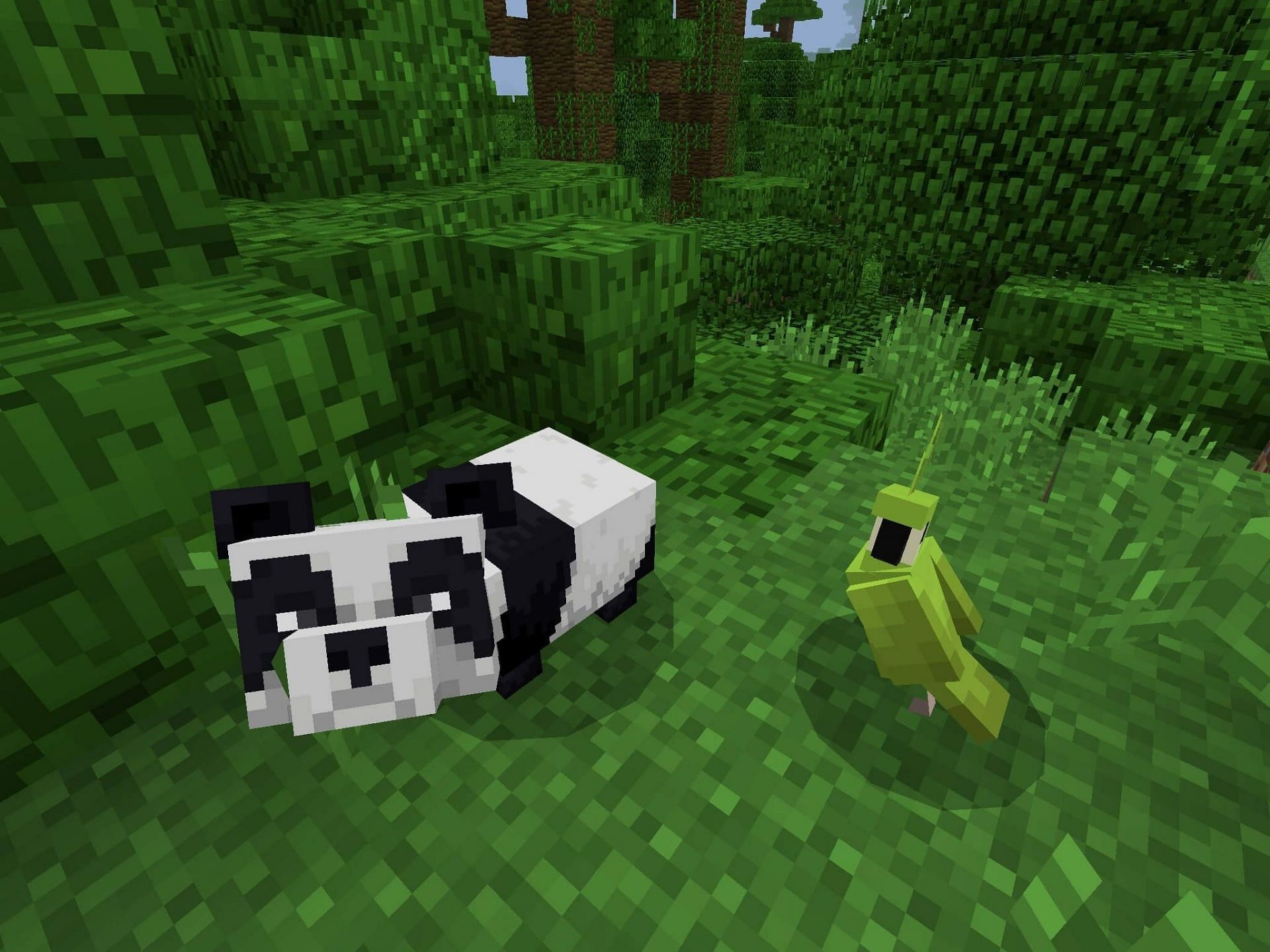Pandas can be tamed in Minecraft (image via Mojang)