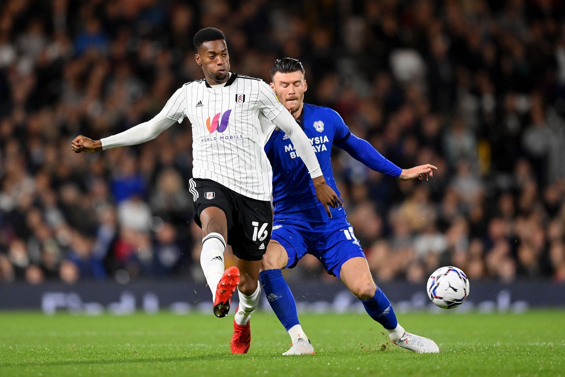 Adarabioyo will be a huge miss for Fulham