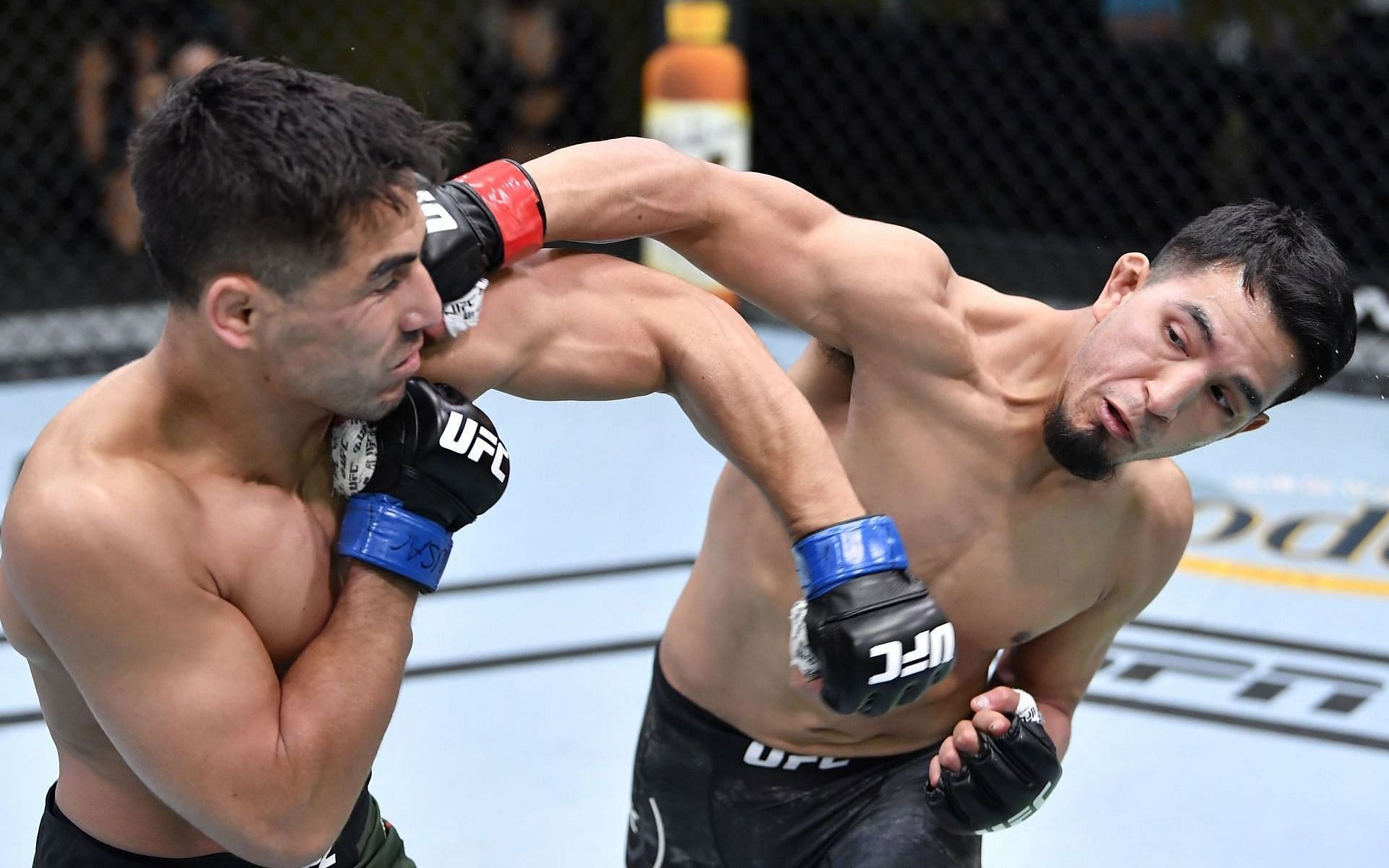 Adrian Yanez [Image via Getty: UFC Fight Night: Yanez v Lopez]