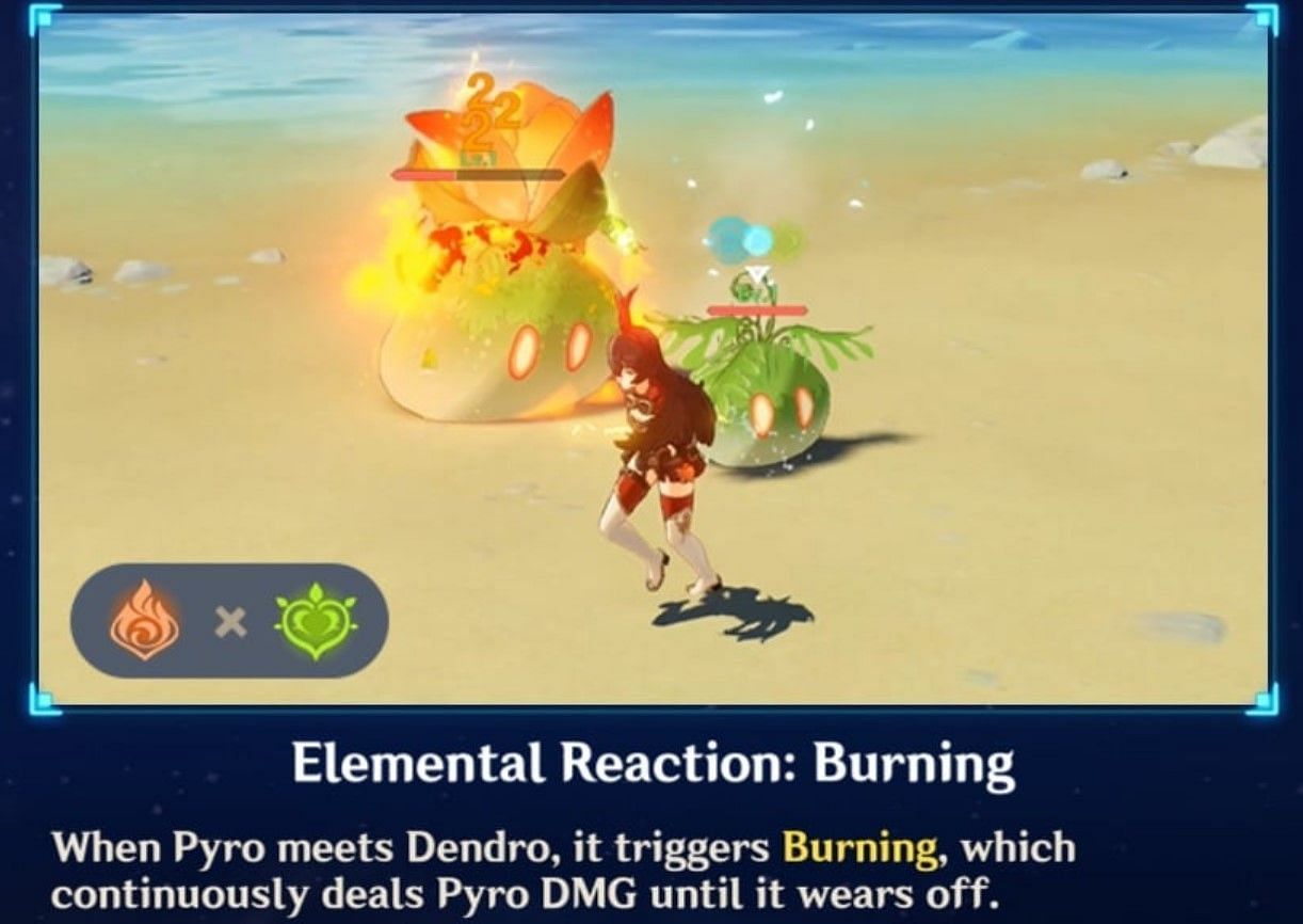 The only Dendro reaction that exists in-game right now (Image via Genshin Impact)
