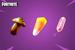 Fortnite: Top 5 rare foraged items from Chapter 1 and Chapter 2