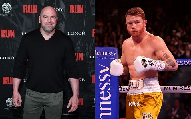 Dana White says he watched the Canelo Alvarez vs. Caleb Plant fight octagon-side at UFC 268 because he bet $100,000 on Canelo to win via KO