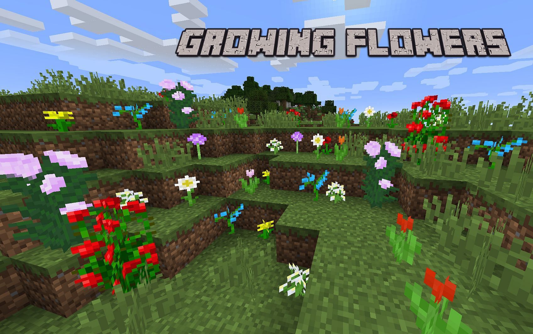 Flowers in Minecraft (Image via Minecraft Wiki)
