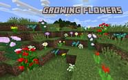 How To Grow Flowers In Minecraft