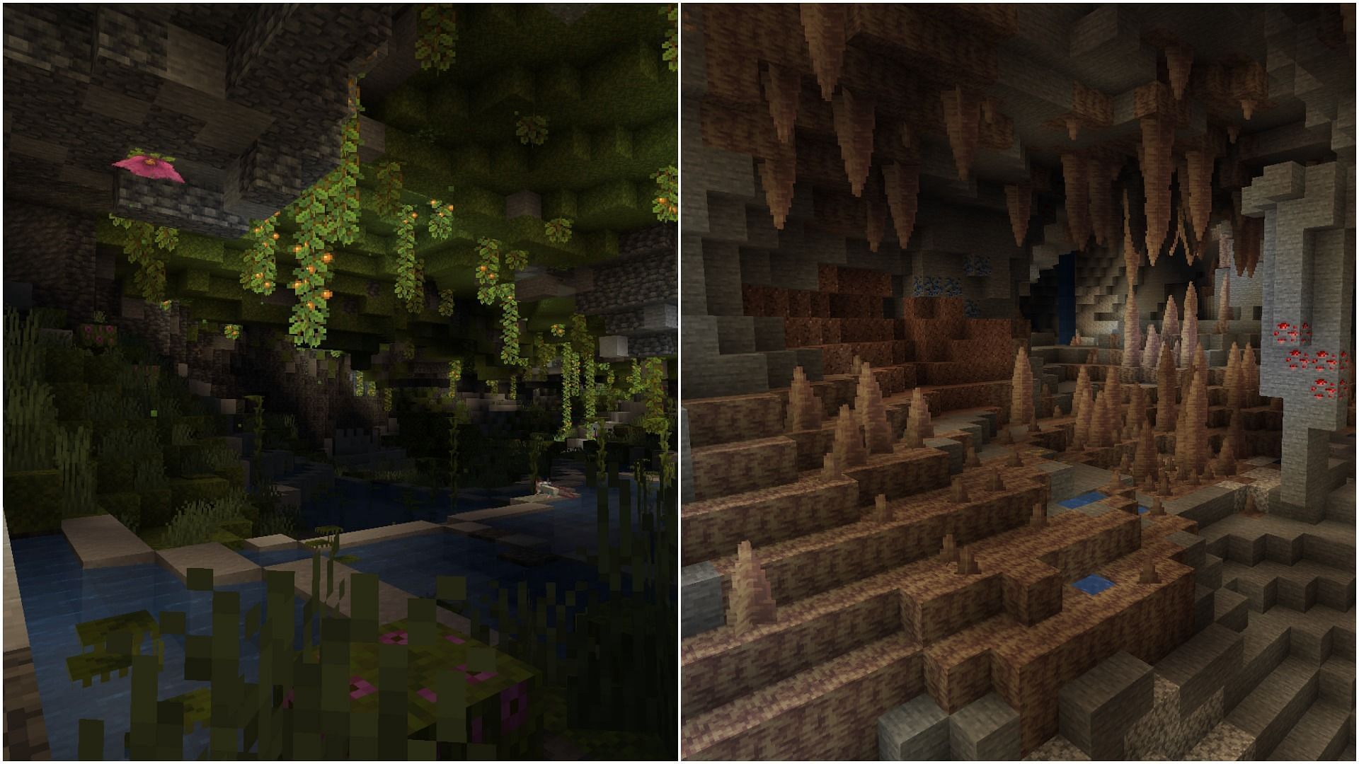 Lush caves &amp; Dripstone Caves (Image via Minecraft Wiki)