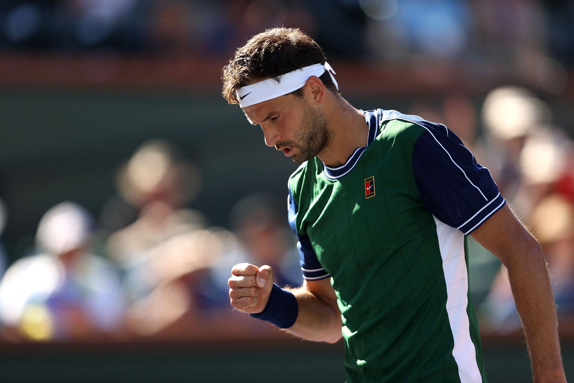 Dimitrov enjoys playing on indoor hardcourts.