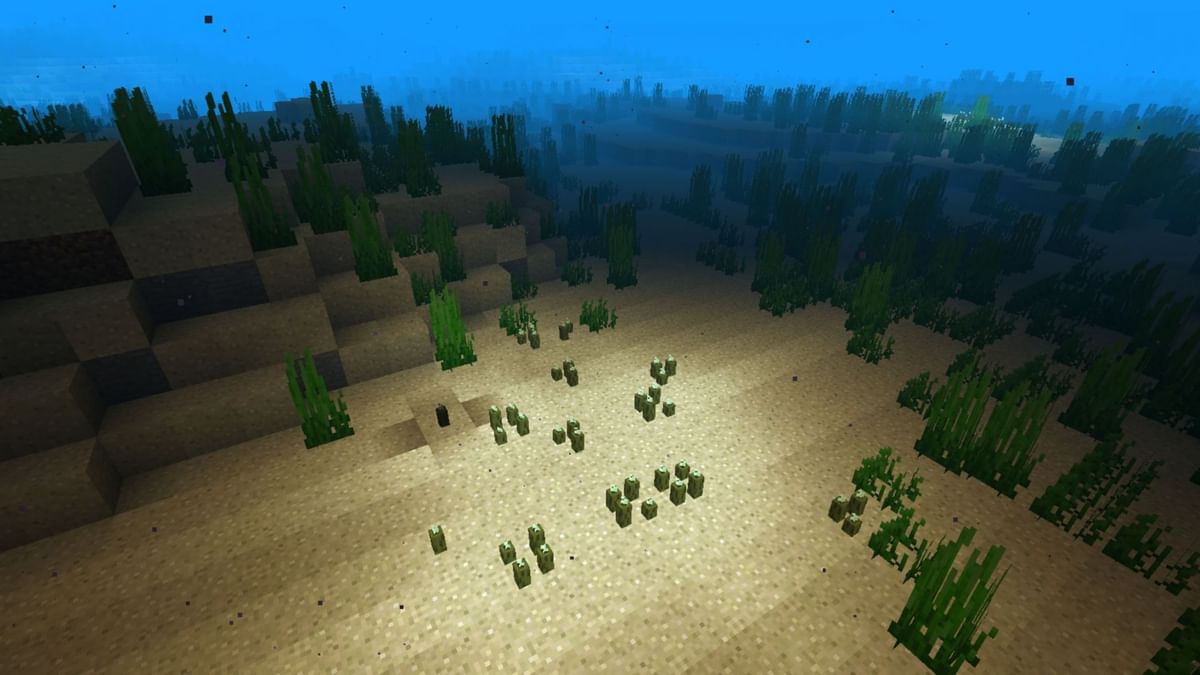 How to farm sea pickles in Minecraft