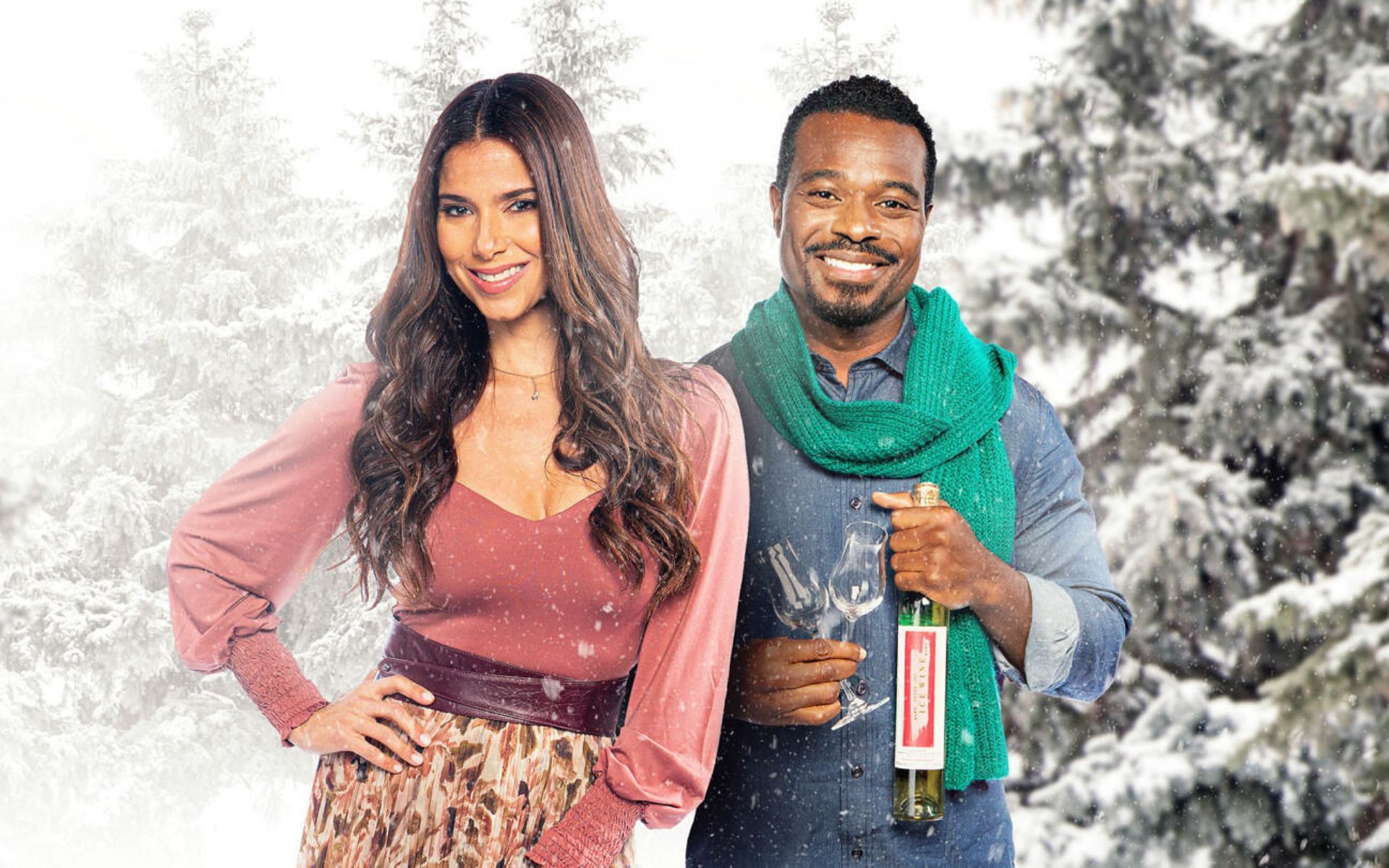 Meet the cast of &#039;An Ice Wine Christmas&#039; (Image via Lifetime)