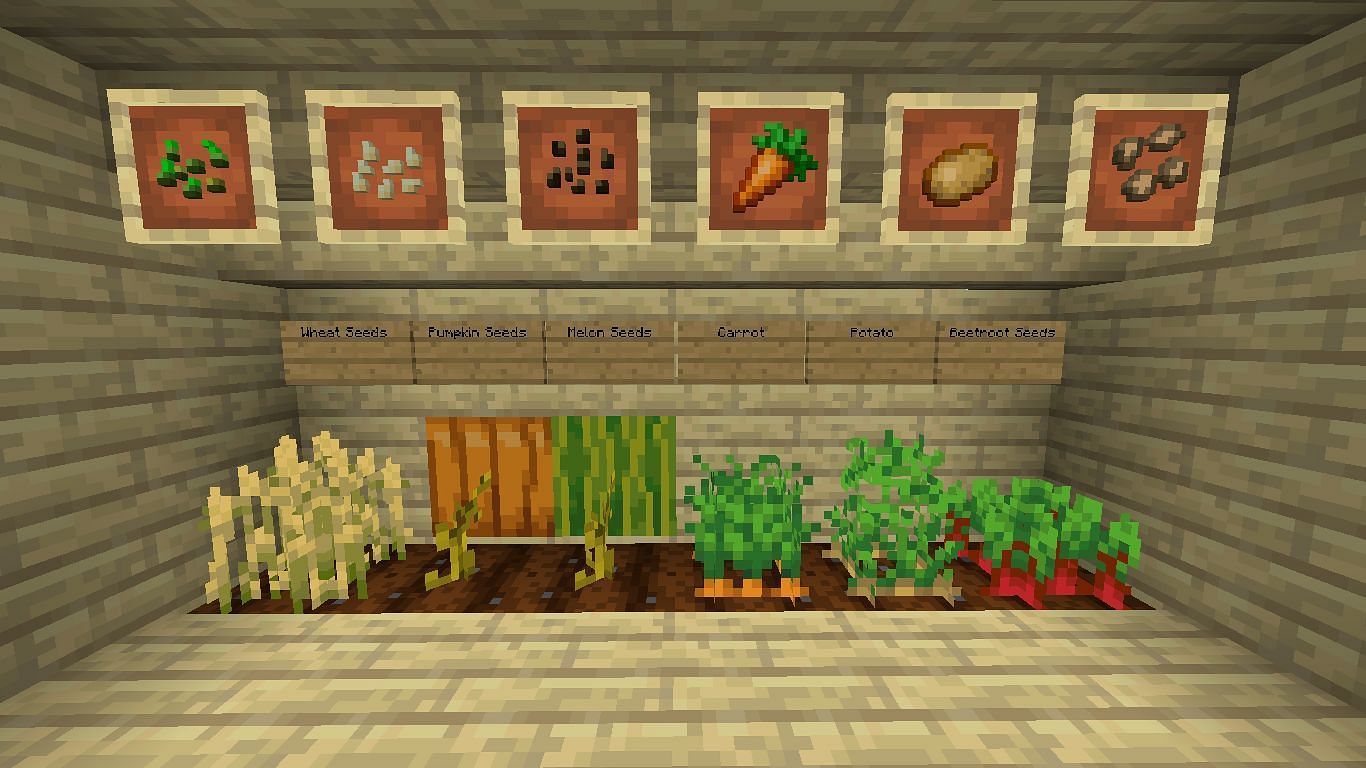 All crop seeds in Minecraft (Image via Minecraft Wiki)