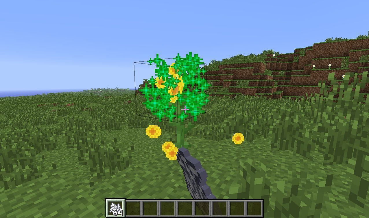 Bone Meal to grow Sunflowers (Image via Minecraft)