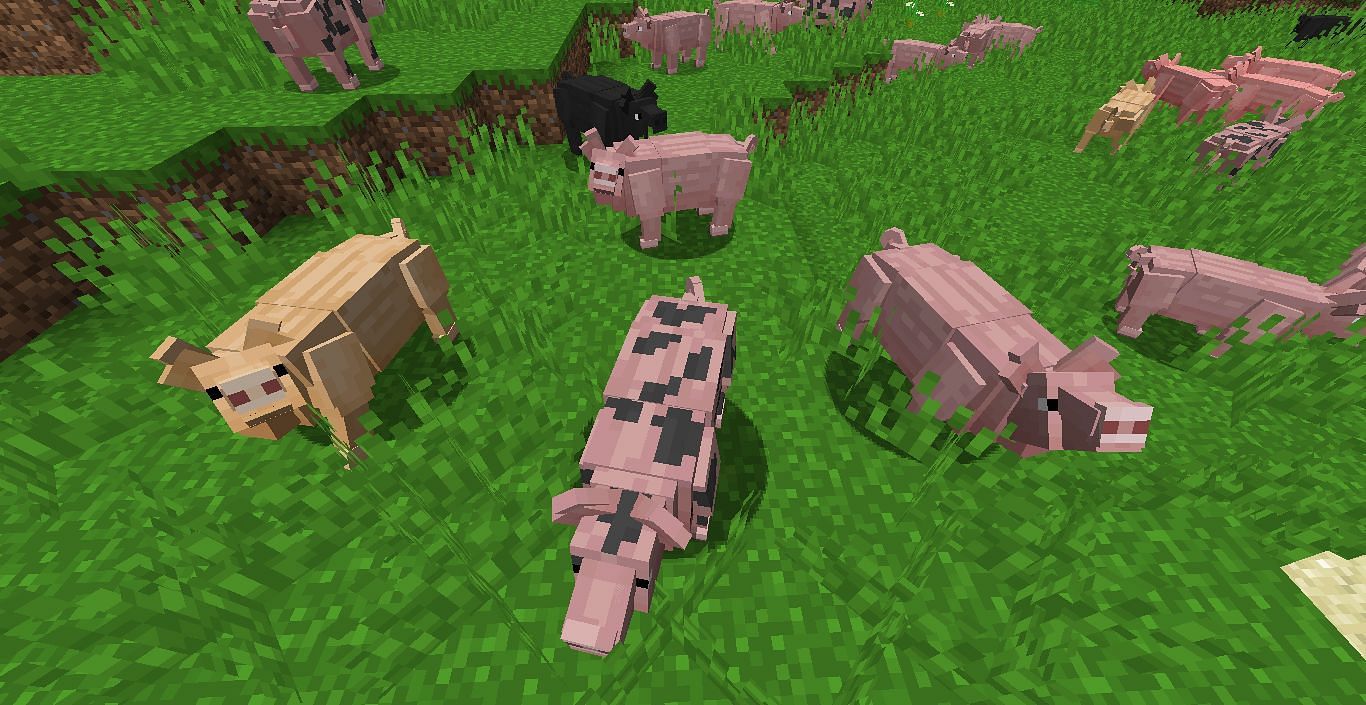 The Better Animals mod (Image via Minecraft)
