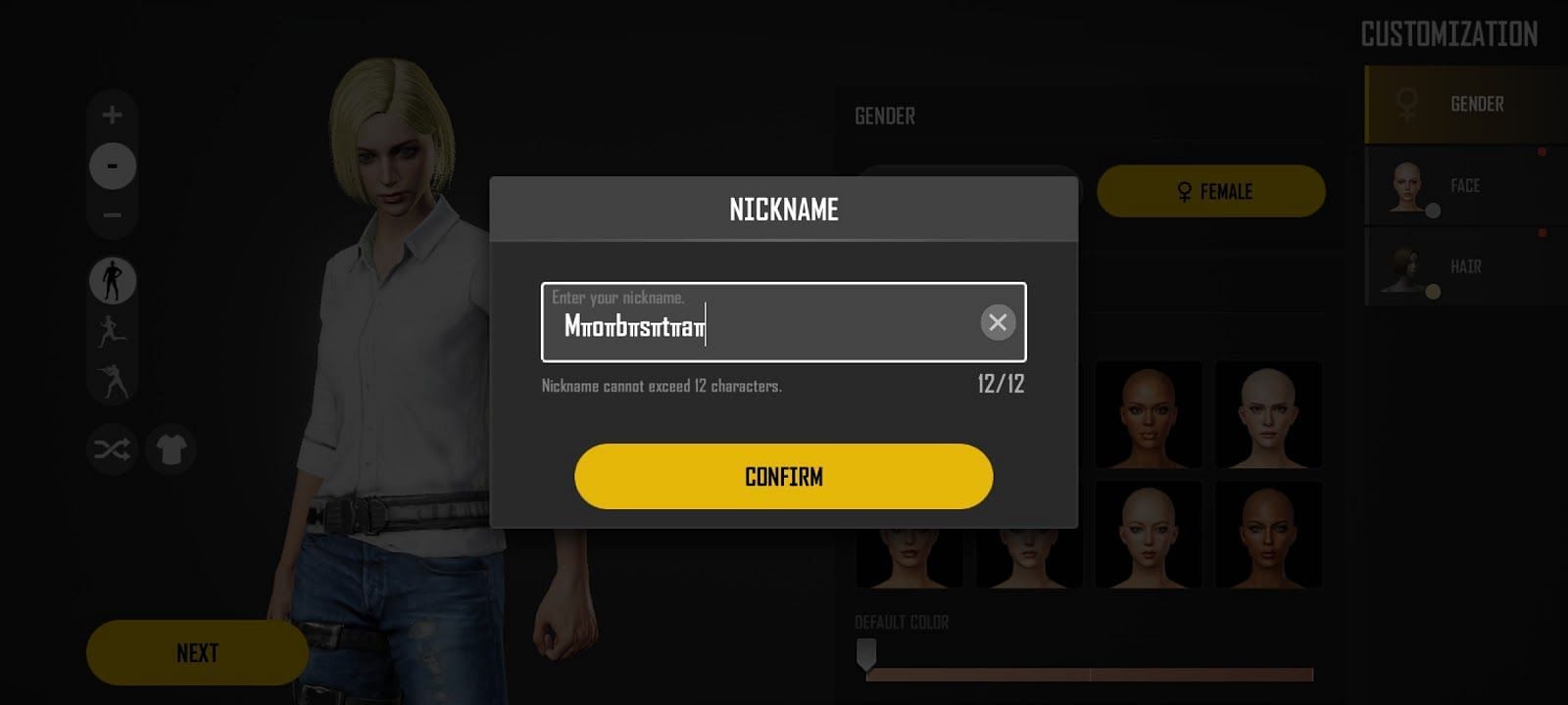 Paste the copied name (Image via PUBG New State)