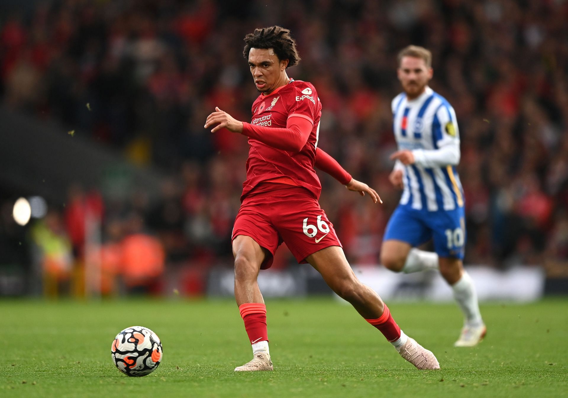 Liverpool v Brighton & Hove Albion - Premier League