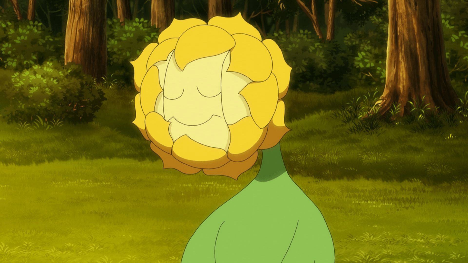 Sunflora closes the petals around its face when it sleeps. (Image via The Pokemon Company)