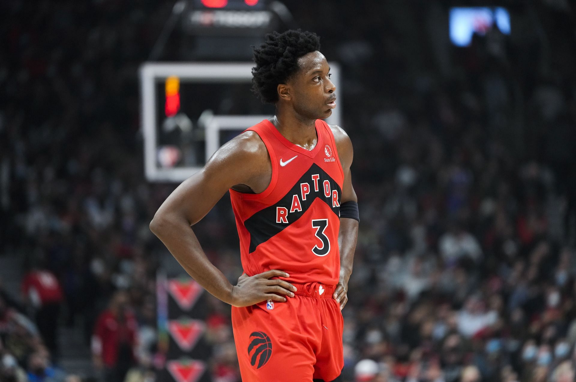 OG Anunoby in action during Washington Wizards v Toronto Raptors