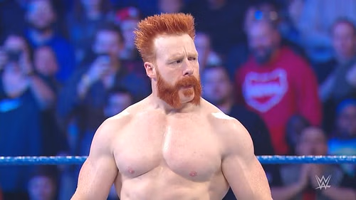 Sheamus will be on the SmackDown team for WWE Survivor Series