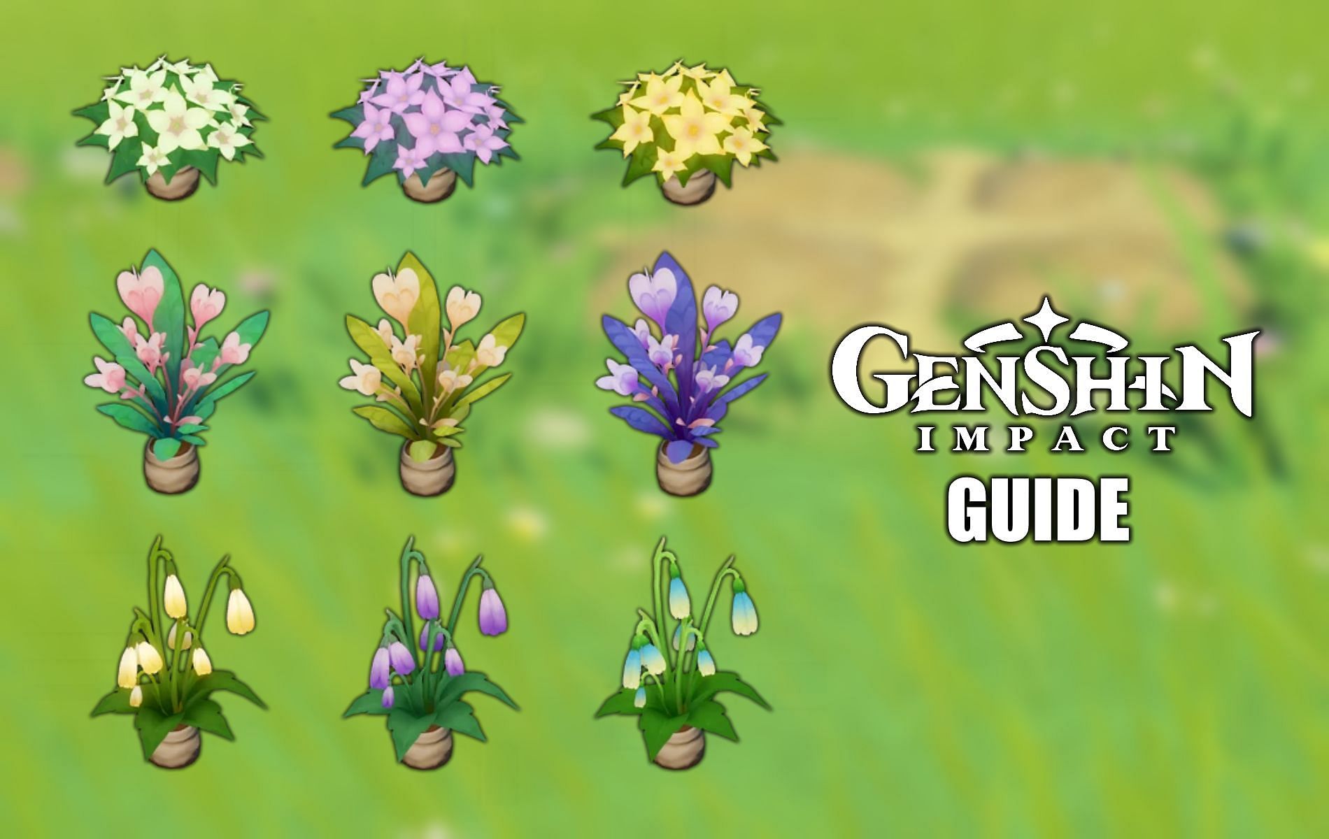 Terraria guide - Planting seeds and growing plants 