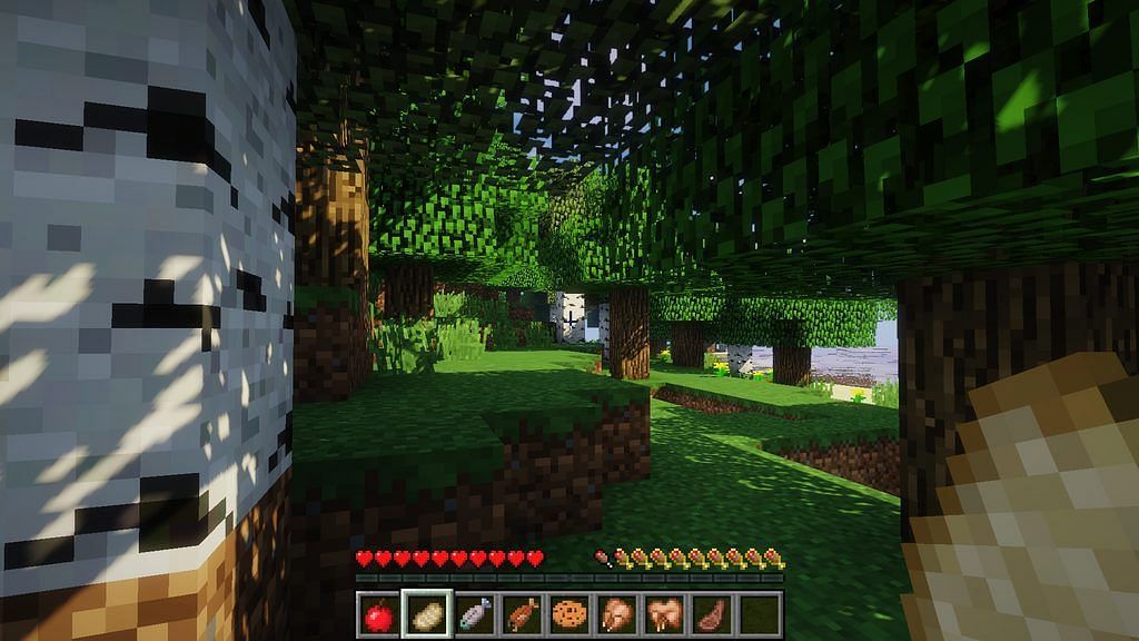 A screenshot from the Appleskin mod (Image via Minecraft)