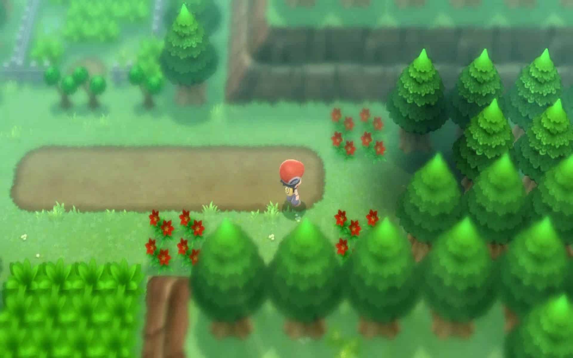 A trainer in Eterna Forest. (Image via ILCA)