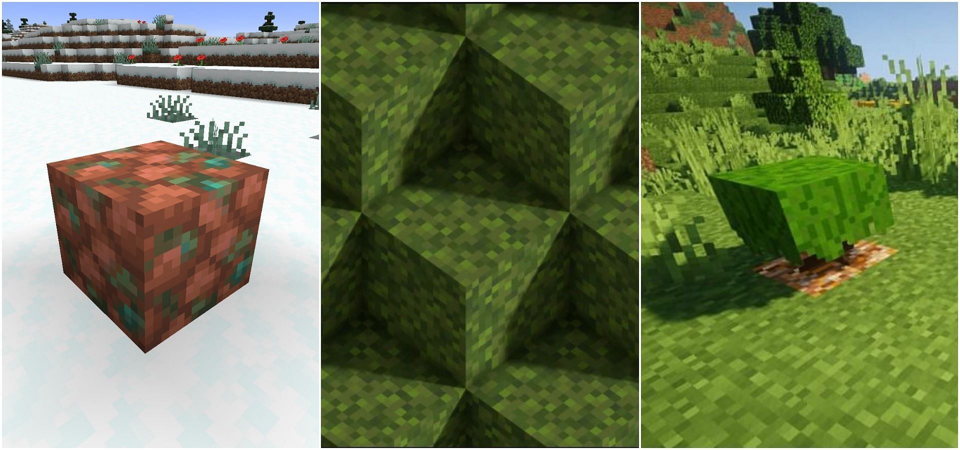 A raw copper block, moss block, and azalea block (Image via Minecraft)