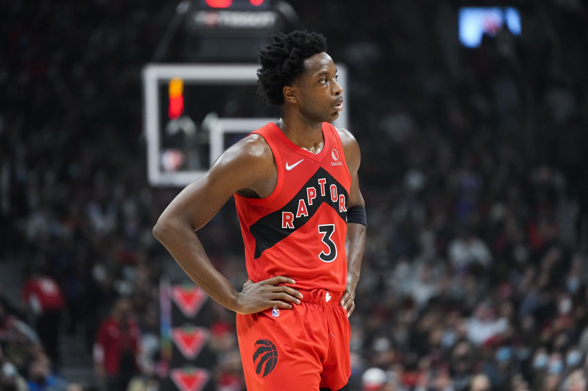 OG Anunoby looks on during a Toronto Raptors game.