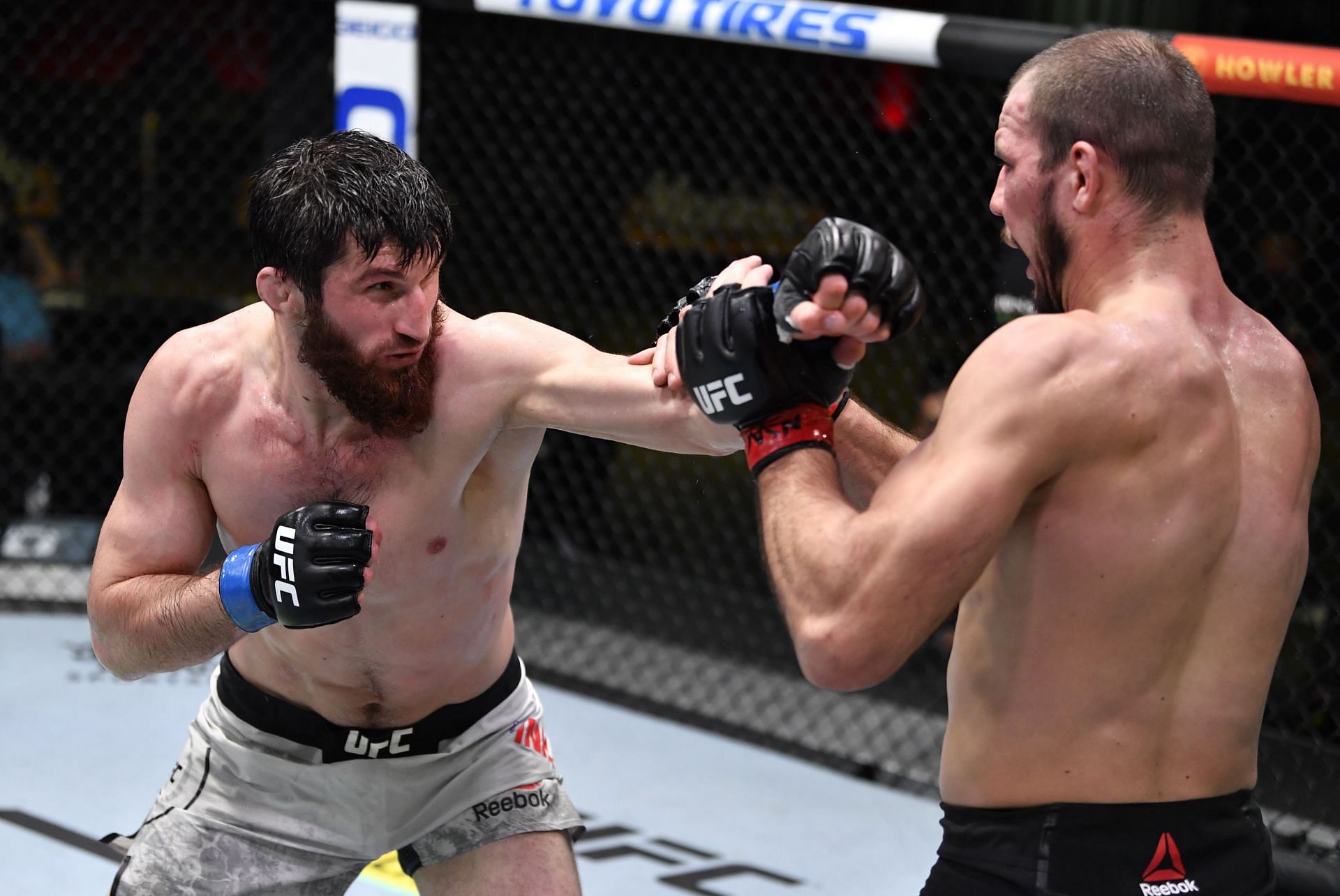 Magomed Ankalaev might capture a UFC title shot if he can beat Thiago Santos in 2022
