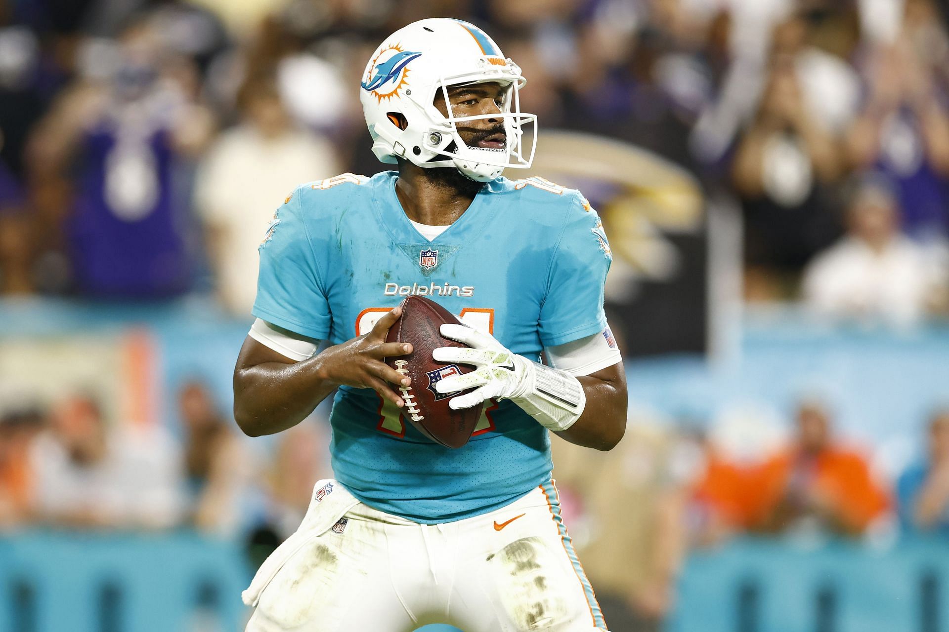 Miami Dolphins QB Jacoby Brissett