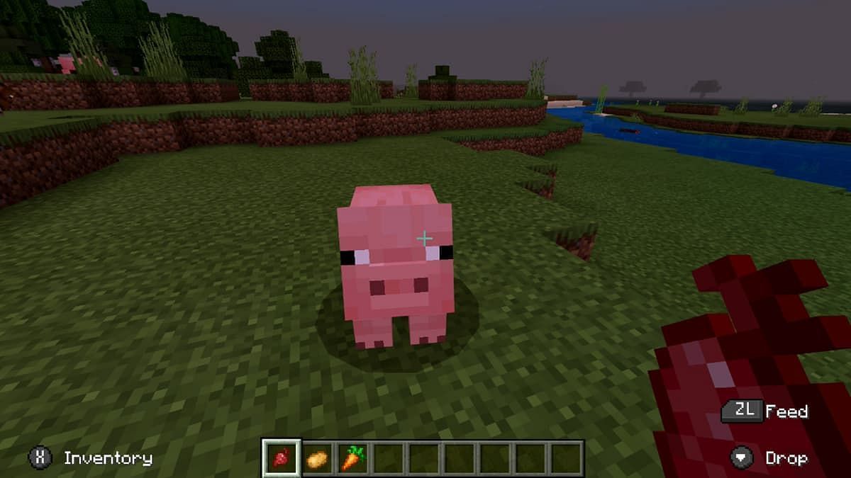 Pigs in Minecraft (Image via Minecraft)