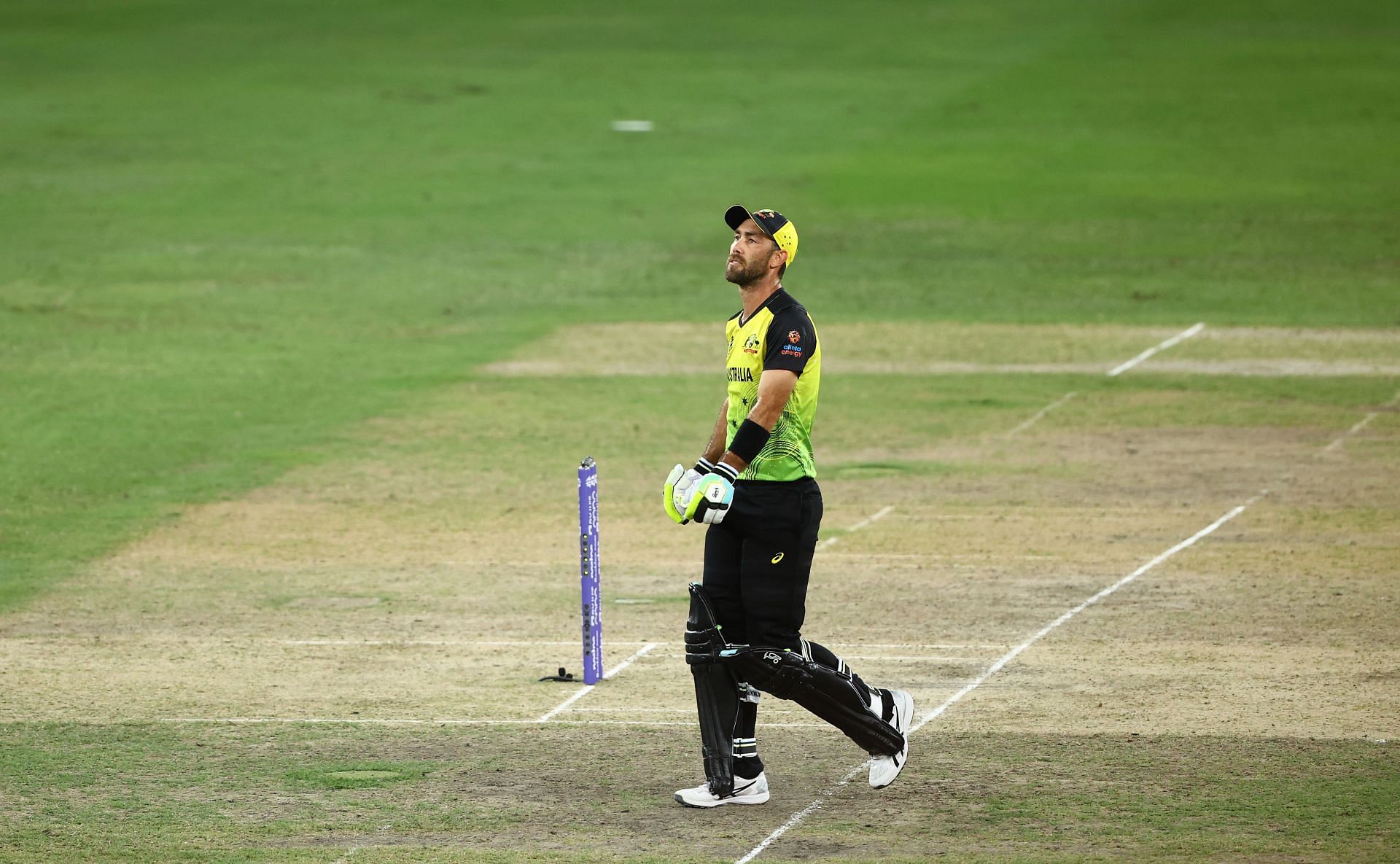 Glenn Maxwell flattered to deceive in this year&#039;s T20 World Cup.