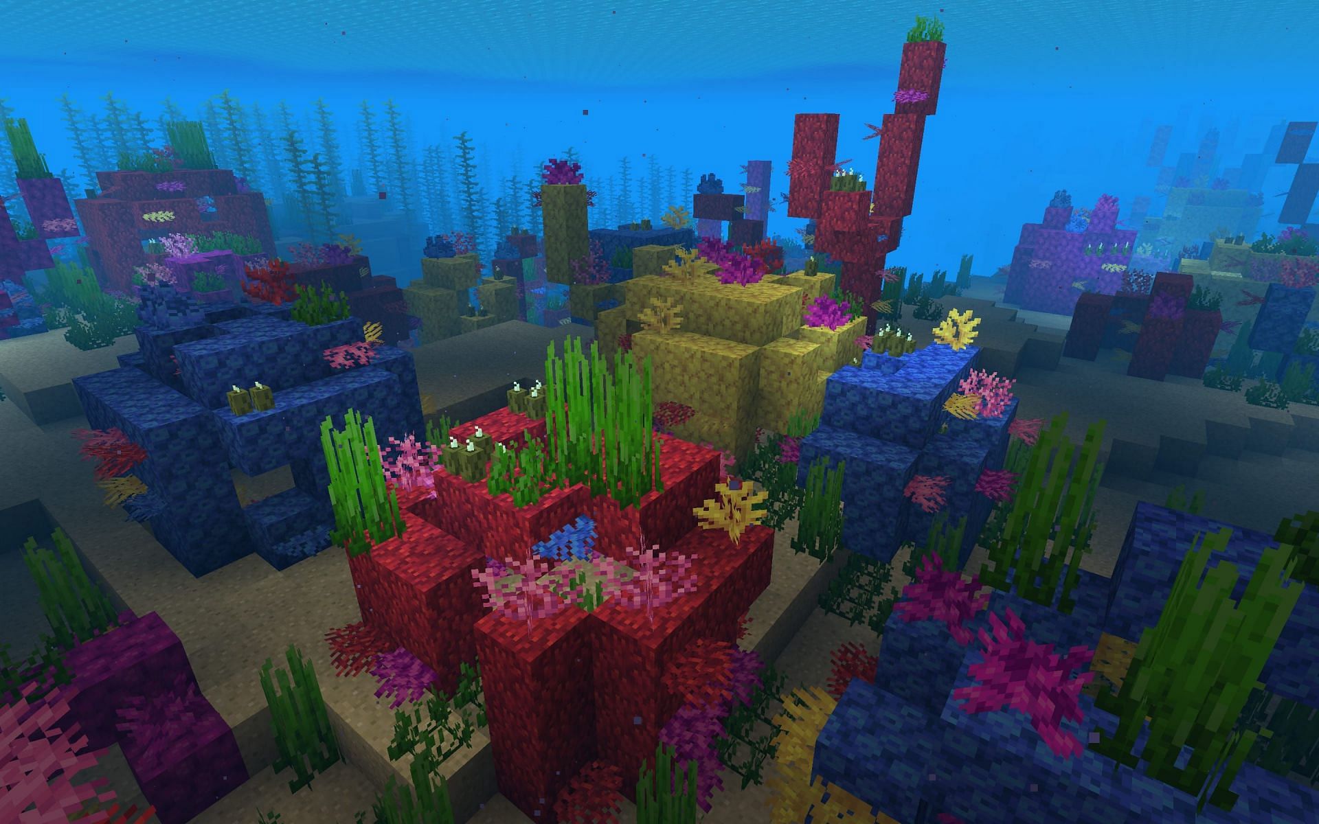 Coral reefs in Warm Ocean (Image via Minecraft)