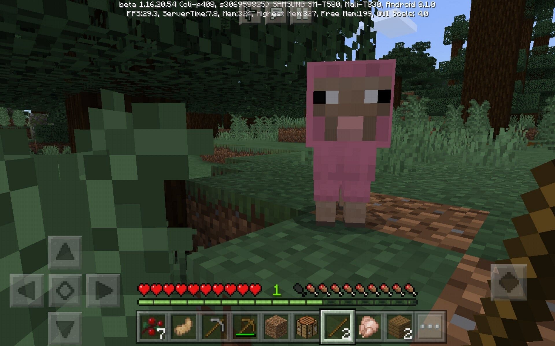 sheep can be tamed in Minecraft (image via Mojang)