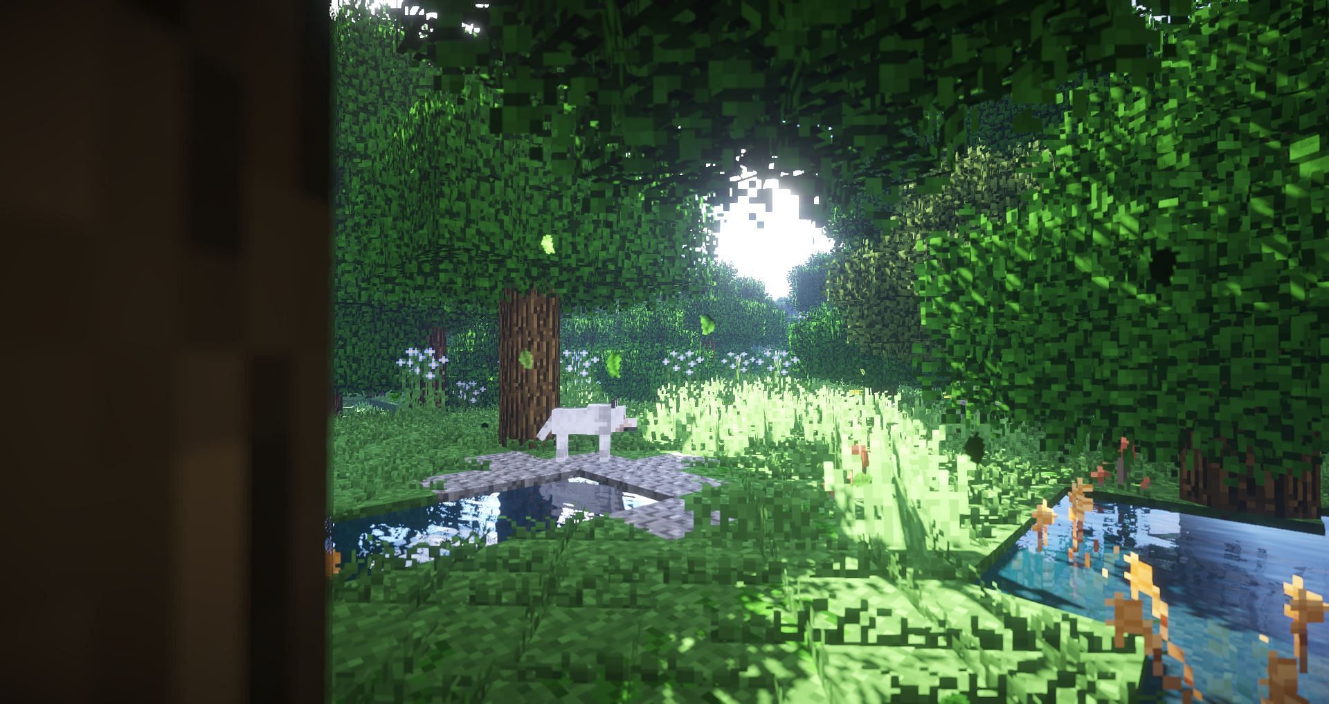 A glimpse of the Better Foliage mod (Image via Minecraft)