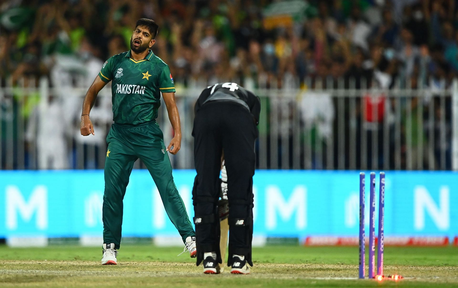 Haris Rauf took four wickets in the match between Pakistan and New Zealand