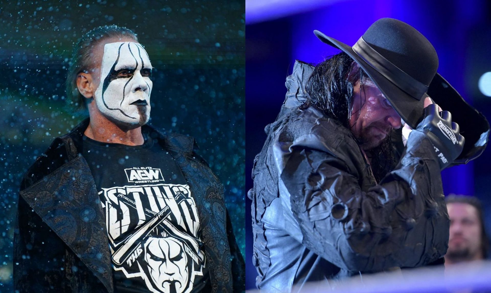 Sting vs. Undertaker will remain a dream match for many fans