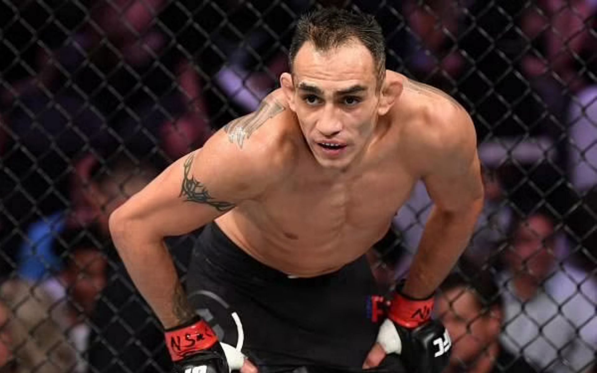 Fight fans should be prepared to bid adieu to some UFC legends in 2022